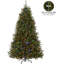 Sapin artificiel Dunhill, 9 pi, lumières bicolores