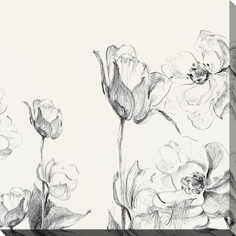 Amaryllis Field Square II par Lanie Loreth - Peinture, L 18 po x H 18 po, Toile tendue
