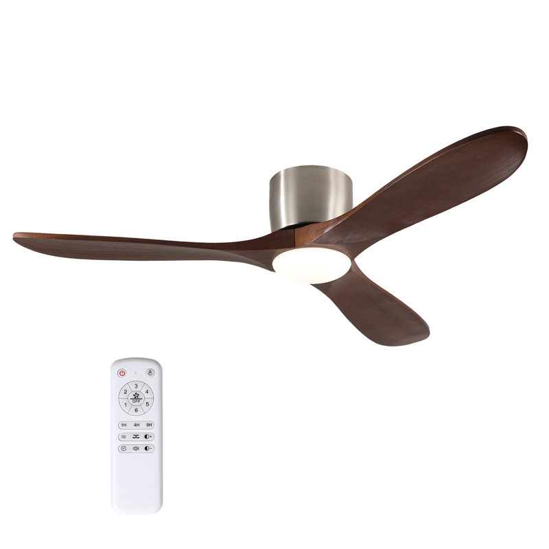 CEILING FANS LIGHT