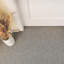 Liverpool Series 1" x 1" Ceramic Honeycomb Mosaic Wall & Floor Tile-48898238