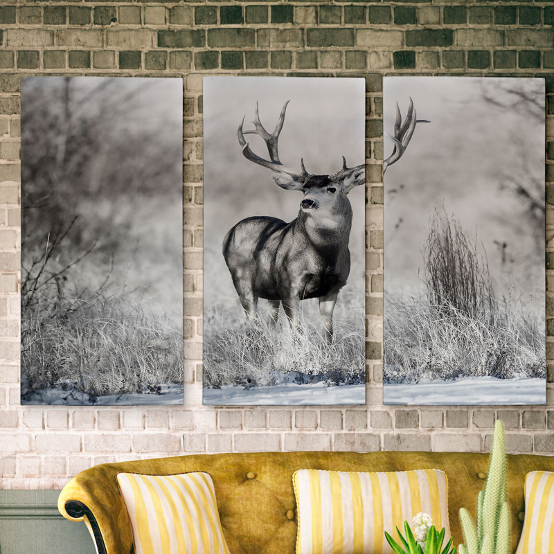 Rocky Mountain Lookout - reproduction de photo sur toile, H 24 po x l 36 po x P 1,5 po