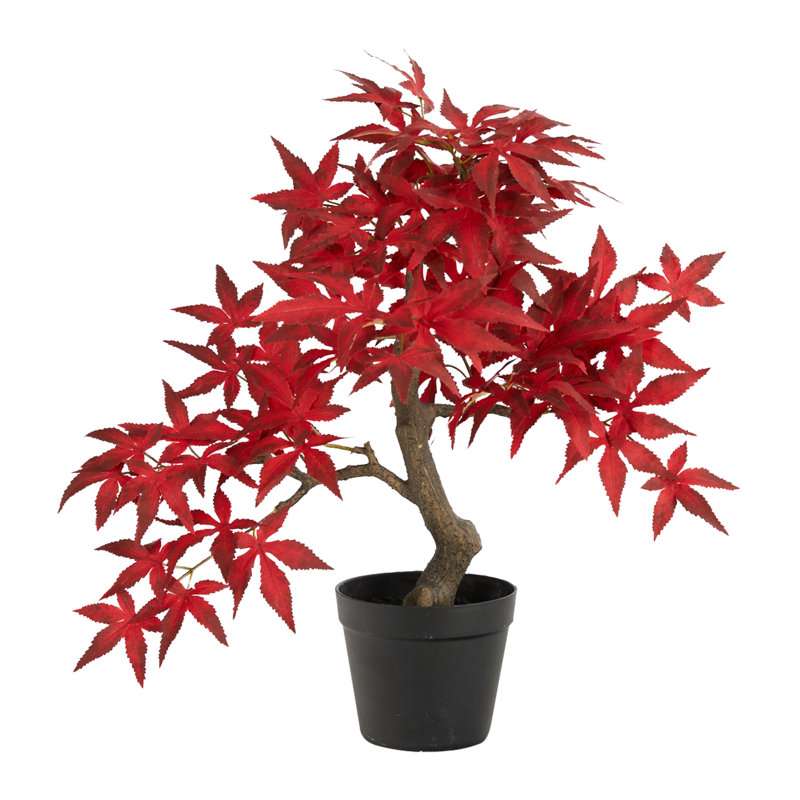 20'' Faux Bonsai Tree in Pot