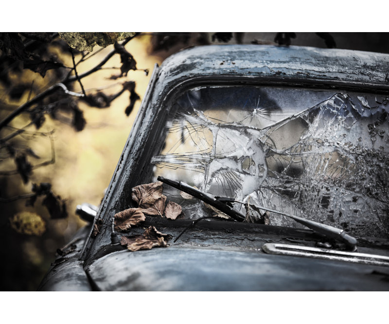 Wrapped Canvas Print, 50.8 cm H x 76.2 cm W