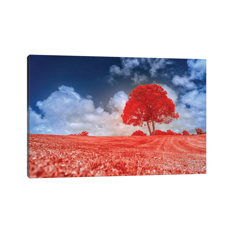Red Tree by Glauco Meneghelli - Wrapped Canvas Print