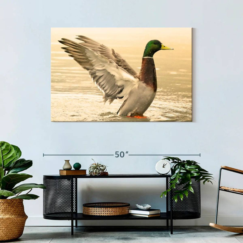 Canard colvert majestueux Brampt, H 30 po x l 45 po