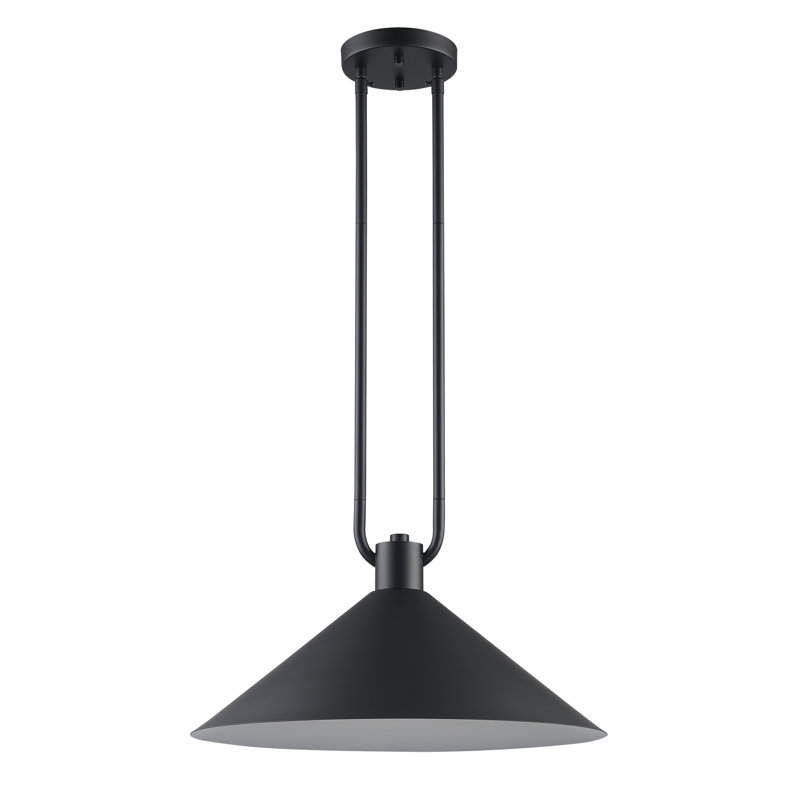 Fayra Industrial Pendant, Black, 11.75" H x 17" W x 17" D