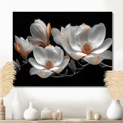 Blanc, blanc, élégant, emblème, photo de magnolias - salon d'art mural Magnolias