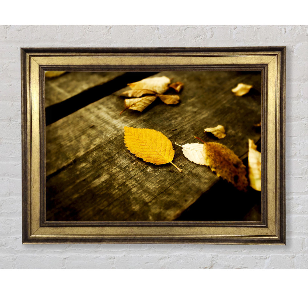 Autumn Leaves On The Deck - Einzelne Bilderrahmen Kunstdrucke