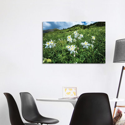 Wildflowers Growing In A Field, Crested Butte, Colorado, USA - Wrapped Canvas Print