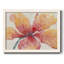 Hibiscus en fleurs-1344468273-1344468274