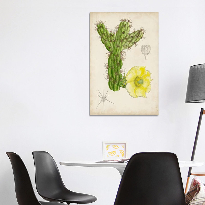 Antique Cactus I by Curtis - Wrapped Canvas Painting, 101.6cm H x 66.04cm W x1.905cm