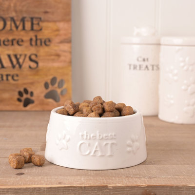 Pet Bowl