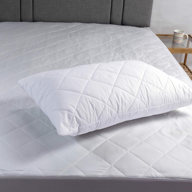 Soft Support Pillow (Set of 2)