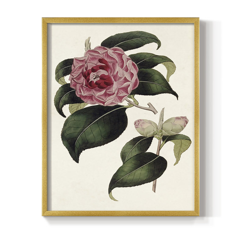 «Pink Floral Mix III», reproduction encadrée - bois massif, H 15 po x l 12 po, Doré
