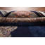 Tapis traditionnel oriental 7 x 10
