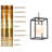 Dennell 1-Light Lantern Rectangle Black/White LED Pendant
