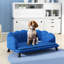 Foam Cushioned Dog , Dark Blue Velvet For Medium And Big Dogs, Stylish Comfy Large Breeds, Cozy Elegant
