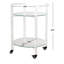 Jules 2 Tier Acrylic Bar Cart
