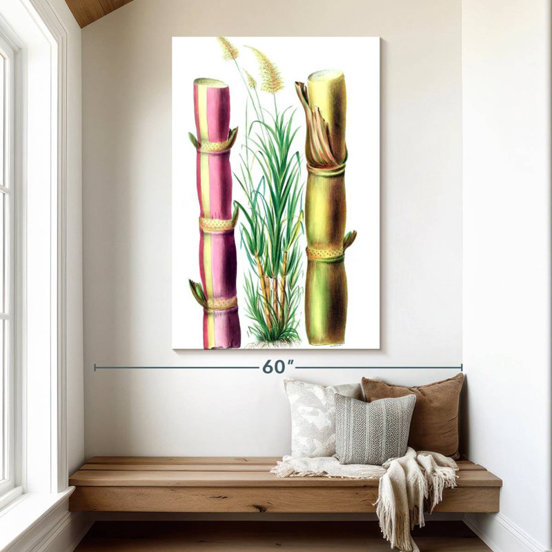 Harnek Sugarcane Stalks, 51" H x 34" W