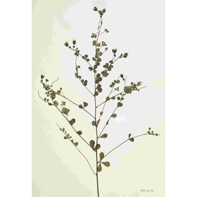 Collection Herbier 2, H 12 po x l 8 po, Non, Toile tendue
