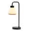 Alakai 41cm Desk Arch Metal Table Lamp with Glass Shade-106543007