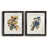 Black Framed Paper