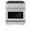 ZLINE 30" Paramount Dual Fuel DuraSnow® Stainless Range w/ 4 Burners & Convection Oven (SDRS-30)
