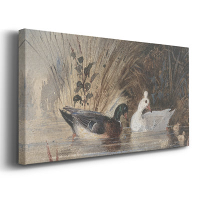 Vintage Animal Series-XXX- Framed Gallery Wrapped Canvas -Ready to Hang