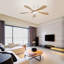Lacresia 52'' Ceiling Fan with LED Lights
