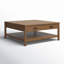 Jaylessa Wood 1 Drawer Coffee Table-99990787
