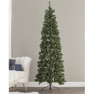 https://assets.wfcdn.com/im/95425780/resize-h310-w310%5Ecompr-r85/1106/110694837/laroche-slender-green-artificial-spruce-christmas-tree-with-lights.jpg