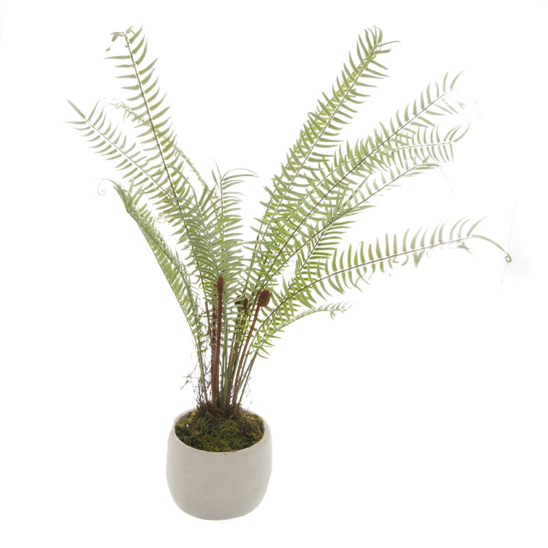 86.36cm Faux Fern Plant in Pot