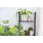 Orla Rustic Step Wood Ladder Shelf-1557415253-1557415249