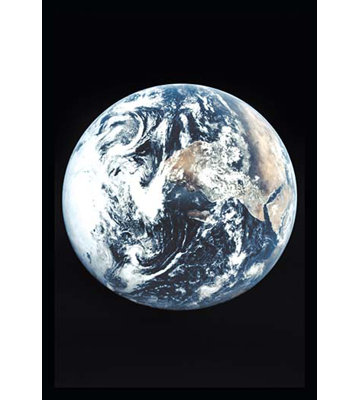 Unframed Photograph