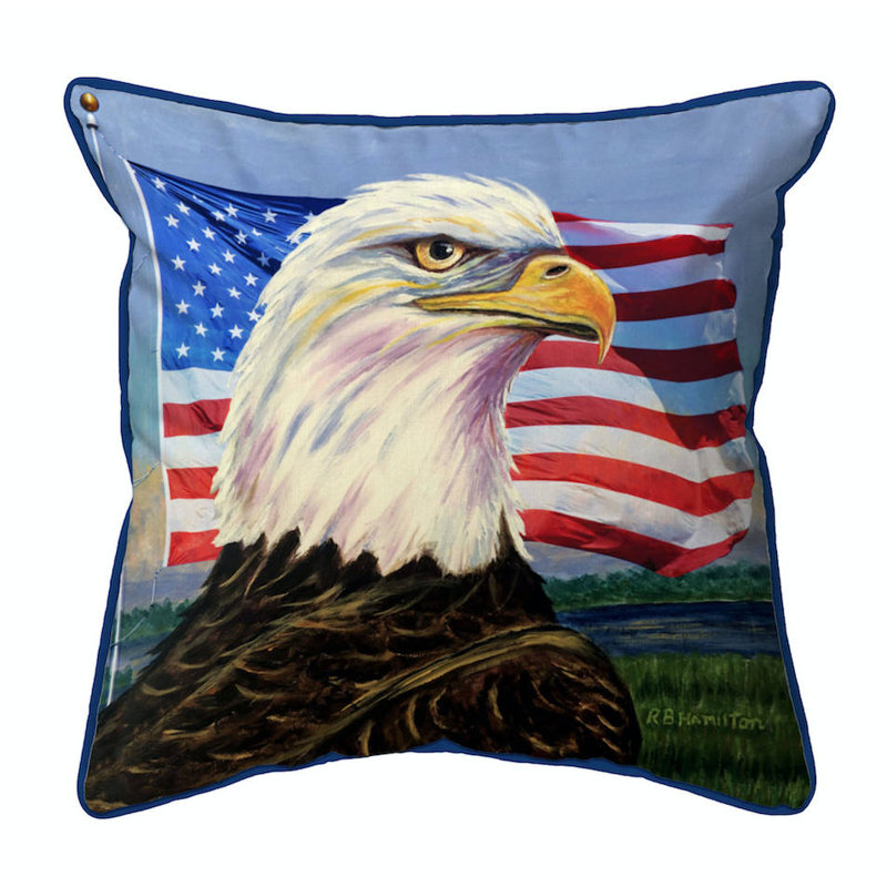 Outdoor Throw Pillow, 18"H x 18"W