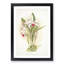 Magnolia Flowers Illustration Tab. 52 by Frederick Sander - Picture Frame Painting Print-55759352-55759355