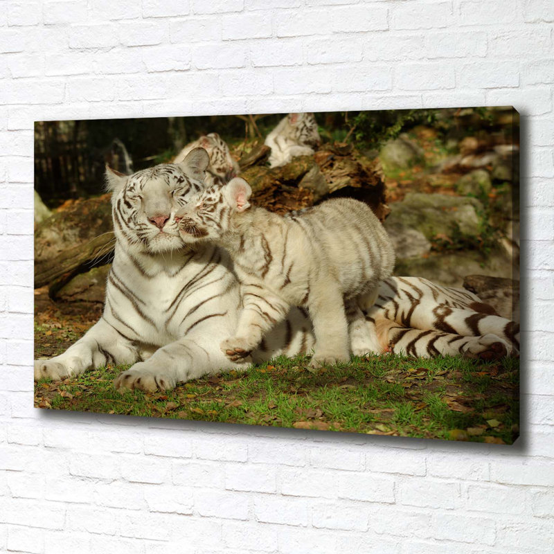 Tigers - Wrapped Canvas Print