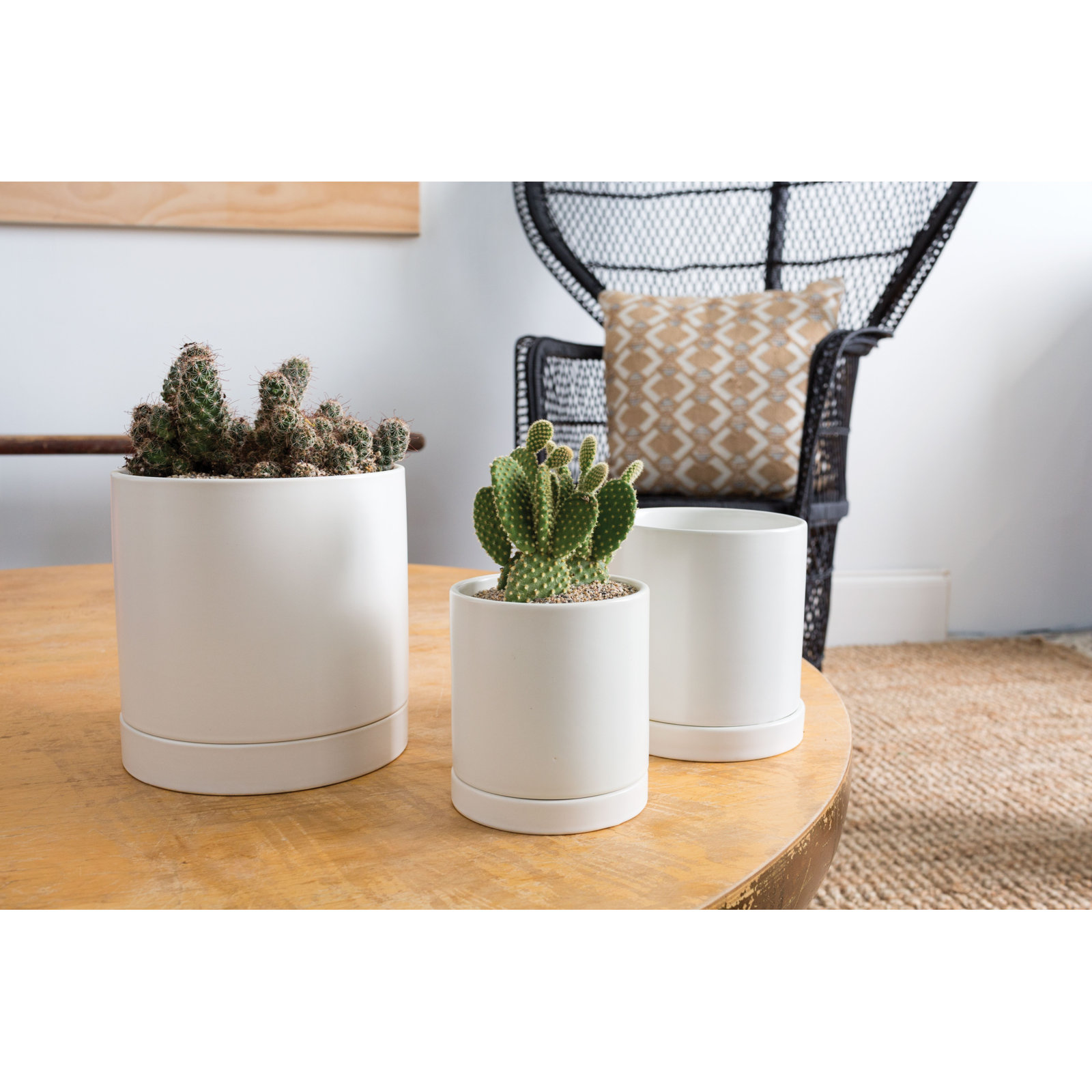 Carlotta 12" Ceramic Pot Planter, White, 5.75" H x 5" W x 5" D