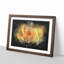Yellow Rose - Framed Print-56842359-56842362