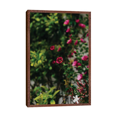 Positano Blooms IV by Bethany Young - Print on Canvas