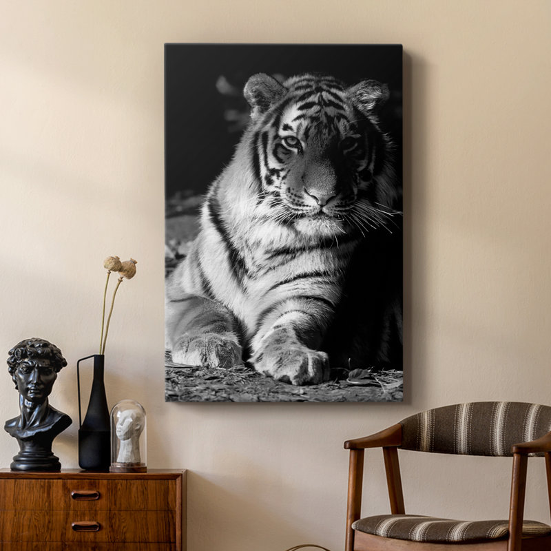 Tiger Repose - galerie Cavas sur mesure, H 12 po x l 8 po