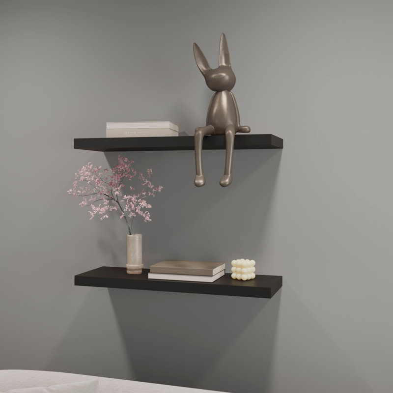 Benessa 2 -Piece Floating Shelf, 3.8cm H x 80cm W x 25cm D, Black