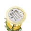 Unscented Taper Candle with Plastic Holder
