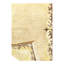 Cepero Hand Knotted Wool Abstract Area Rug in Ivory