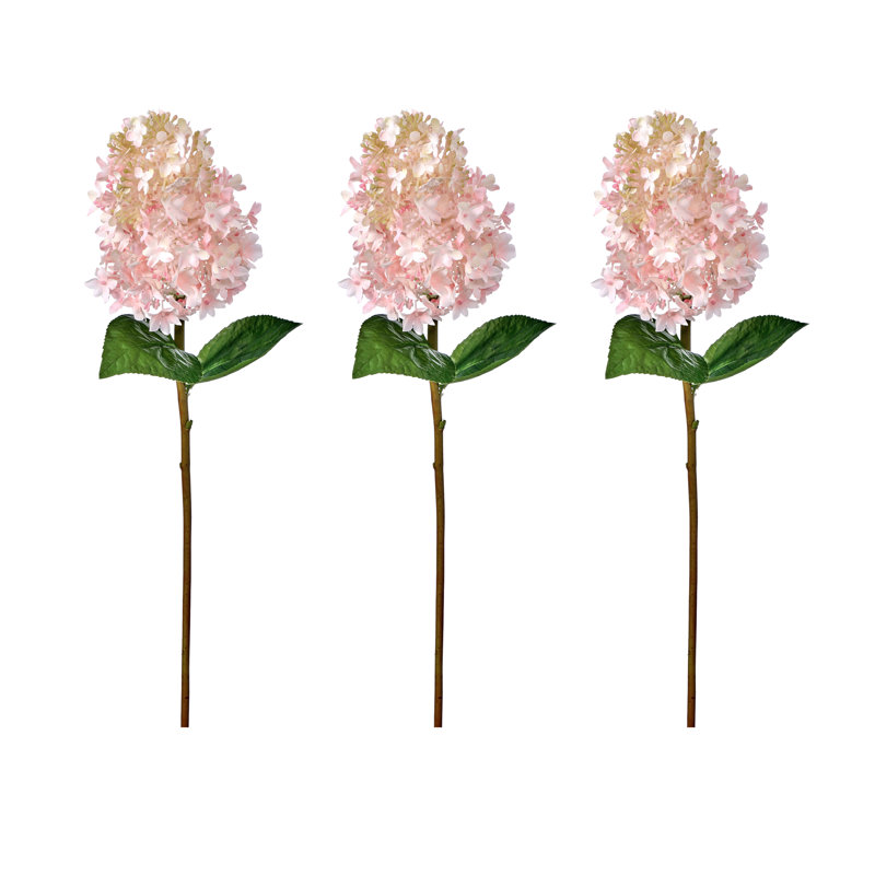Tige d'hortensia Pinnacle 25 po , Rose