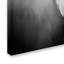« standard caniche », reproduction d’impression sur toile tendue-33555907