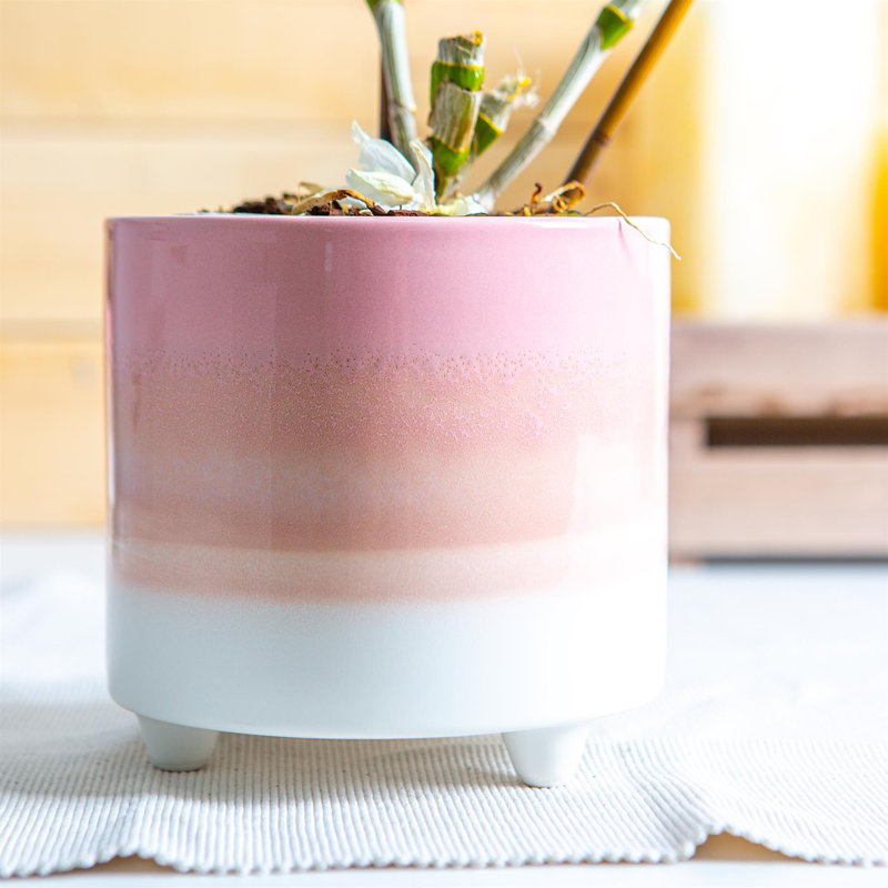 Ceramic Pot Planter, 13.5cm H x 14cm W x 14cm D, Pink