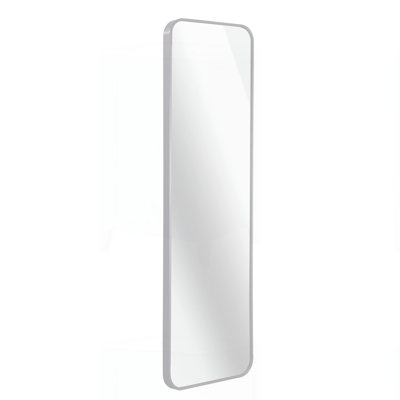 47 X 14IN Door Mirror