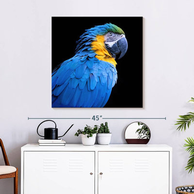 Brampt Neotropical Blue Macaw