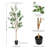Artificial Olive Tree - 2-Pack-1080715539
